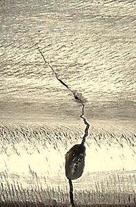 Not all wheel cracks are due to impact.-cavity00002.jpg