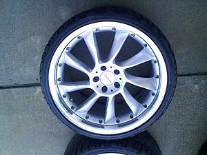WTB CLS tires-0328091030a.jpg