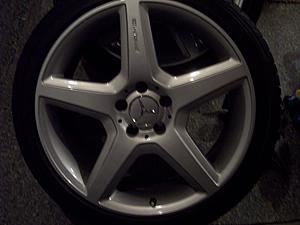 FS Factory CLS55 19s-004.jpg