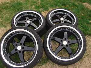 FS 19" Staggered Sevas S Star Black center with polished lip CHEAP!!-dsc02726.jpg
