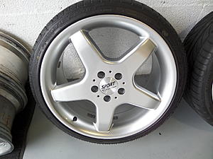 19" AMG Reps-sam_0302.jpg