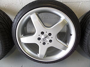 19" AMG Reps-sam_0304.jpg