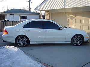 WTB WHEELS 2010 c63-image-3649043769.jpg
