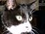 AsleepforNow's Avatar