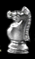 Paladin's Avatar