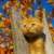 lillian Howard's Avatar