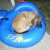 Sagetucker1's Avatar