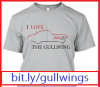 Gullwing-Shirt's Avatar