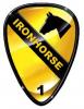 FirstCavArmyVet's Avatar