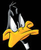 DaffyD's Avatar