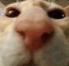 Yee63's Avatar