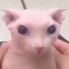 Bingus's Avatar
