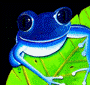 Blufrog's Avatar