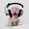 polarbexar's Avatar