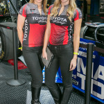 The Lovely Ladies of the Los Angeles Auto Show