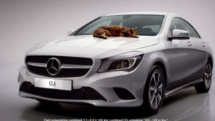 Mercedes Puts the CLA in Claws: “Cat” Commercial