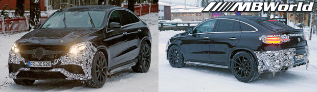 GLE Spotted Winter Testing