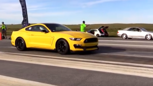 Old-School CLK55 AMG Races New Shelby GT350 Mustang