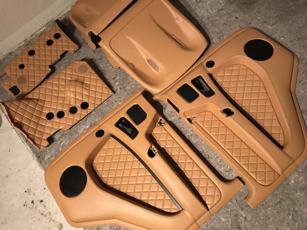 Leather Panels G500